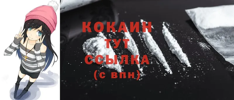 цена наркотик  Кимры  Cocaine Эквадор 